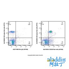CD226 Rat mAb (AF555)