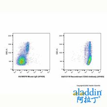 Recombinant CD45 Antibody (AF405)