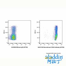 Recombinant CD45 Antibody (AF700)