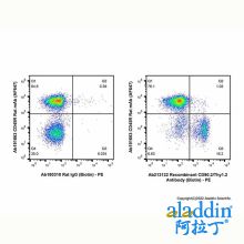 Recombinant CD90.2/Thy1.2 Antibody (Biotin)