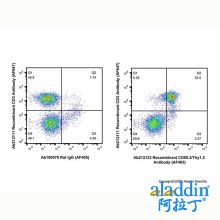 Recombinant CD90.2/Thy1.2 Antibody (AF405)