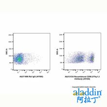 Recombinant CD90.2/Thy1.2 Antibody (AF555)