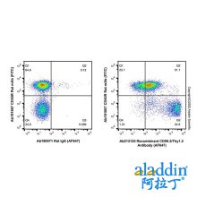 Recombinant CD90.2/Thy1.2 Antibody (AF647)