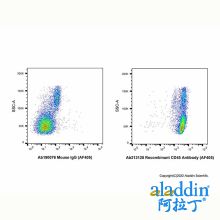Recombinant CD45 Antibody (AF405)