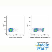 Recombinant CD8 Antibody (AF405)