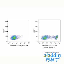 Recombinant CD8 Antibody (Biotin)