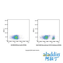 Recombinant CD19 Antibody (AF555)