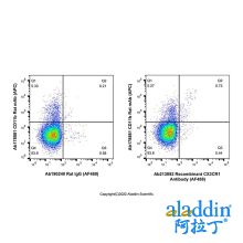 Recombinant CX3CR1 Antibody (AF488)