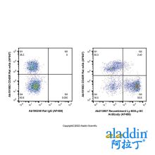 Recombinant Ly-6G/Ly-6C Antibody (AF488)