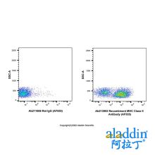 Recombinant MHC Class II Antibody (AF555)