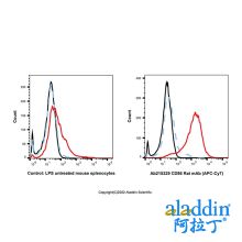 CD86 Rat mAb (APC-Cy7)