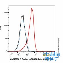 E Cadherin/CD324 Rat mAb (AF750)