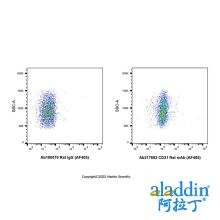 CD31 Rat mAb (AF405)