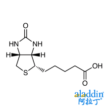 D-生物素