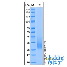 Recombinant Human HVEM/TNFRSF14 Protein