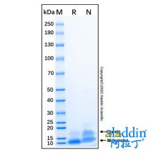 Recombinant Human TFF3 Protein