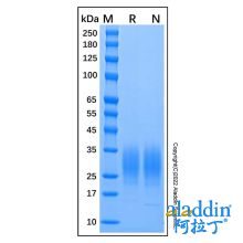 Recombinant Mouse IL-22 Protein