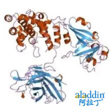 白喉毒素