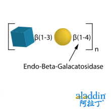 Endo-Beta-Galactosidase