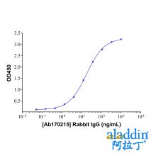 Rabbit IgG