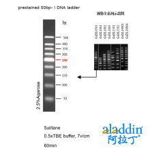 Gelred-prestained DNA Ladder (50-500bp)