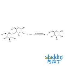α-葡萄糖苷酶 来源于酿酒酵母