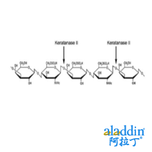 硫酸角质素酶II