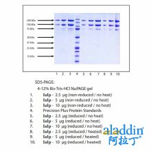 α间抑制蛋白(IaIp),人血浆