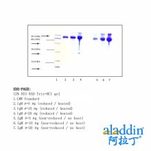 免疫球蛋白M,μ链,人血浆