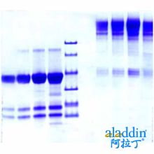 免疫球蛋白M,Fc5mu,人血浆