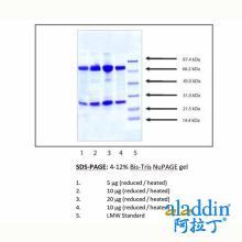 免疫球蛋白M(IgM),人骨髓瘤血浆