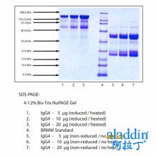 免疫球蛋白G4(IgG4),普通人血浆