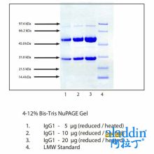免疫球蛋白G1(IgG1),普通人血浆