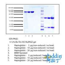 结合珠蛋白,表型1-1,人血浆