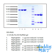 结合珠蛋白,表型1-1,人血浆