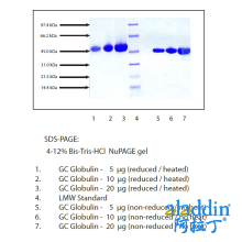 GC-球蛋白,人血浆,混合型(维生素D结合蛋白)