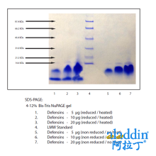 防御素,α，混合自人中性粒细胞（HNP，人中性粒细胞肽）