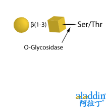 O-Glycosidase