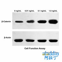 Recombinant Human MUC-1 Protein
