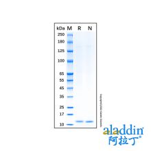 Recombinant Human Osteocalcin Protein