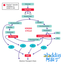 ProClin™150 防腐剂