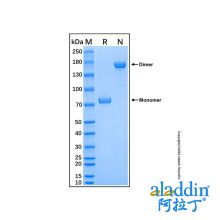 Recombinant Human Nectin-2/CD112 Protein