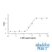 Recombinant Human 4-1BB Ligand Protein