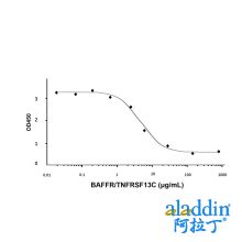 Recombinant Human BAFFR/TNFRSF13C Protein