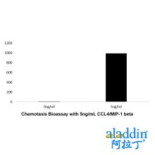 Recombinant Human CCL4/MIP-1 beta Protein