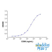 Recombinant Human CD80 Protein