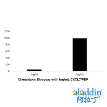 Recombinant Human CXCL7/PBP Protein