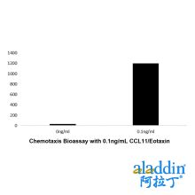 Recombinant Human CCL11/Eotaxin Protein