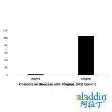 Recombinant Human GRO Gamma Protein