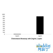 Recombinant Human Leptin Protein